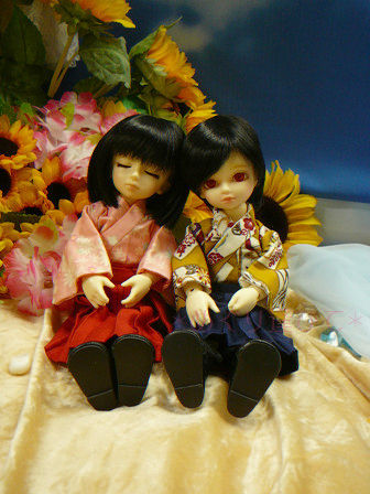 �_�˂��݂�5